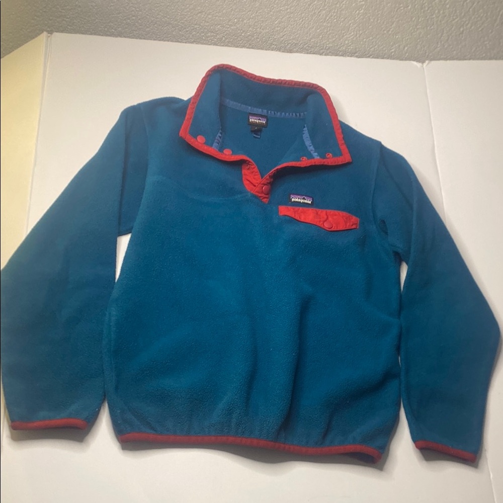 Patagonia Blue and Red Sweater Size L ‘12 Boy